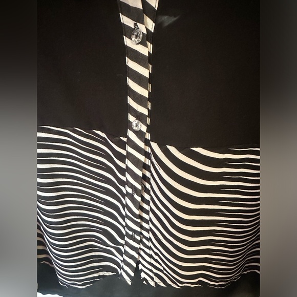 Button Up Sheer Blouse - Picture 3 of 6